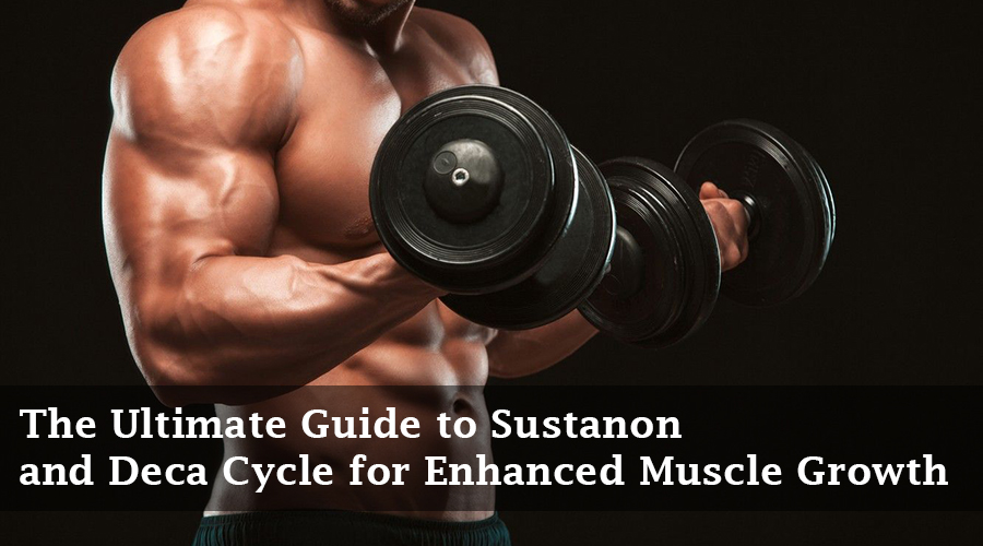 sustanon and deca cycle